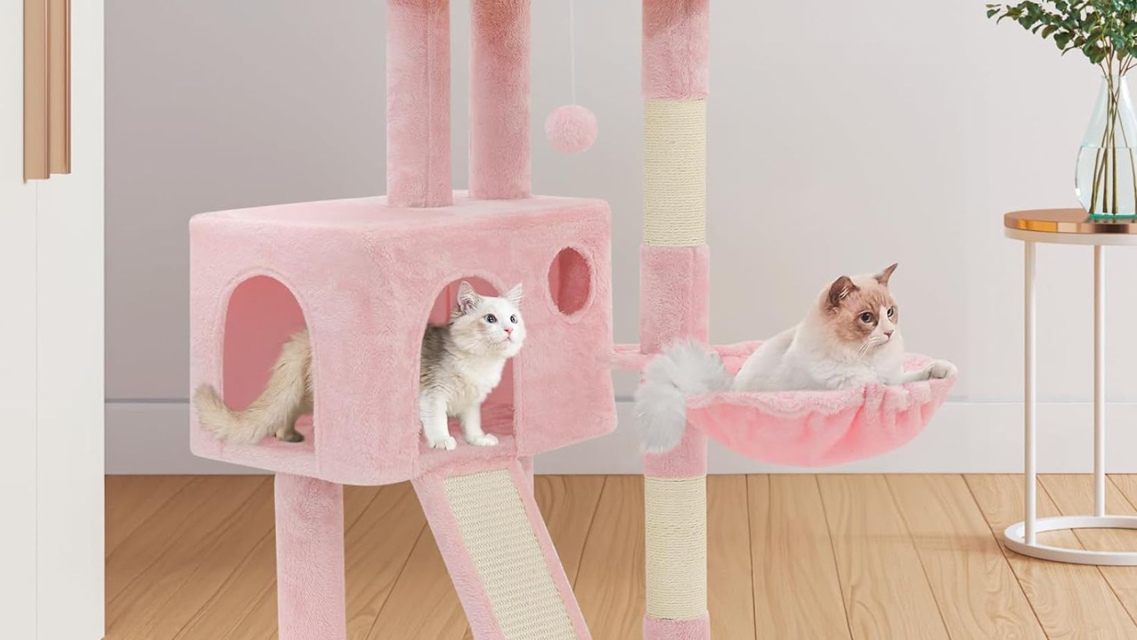 Cat Trees