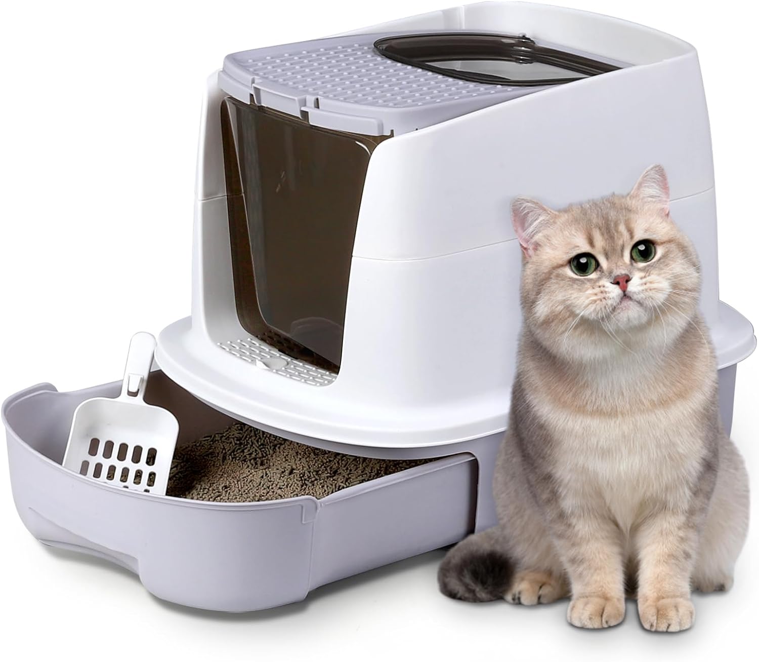 How To Reduce Cat Litter Box Smells